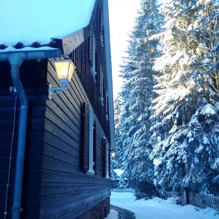 The Cabin - Harz National Park Hotel Санкт Андреасберг Екстериор снимка